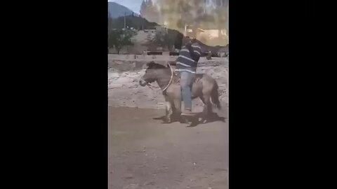 try to not laugh 😆