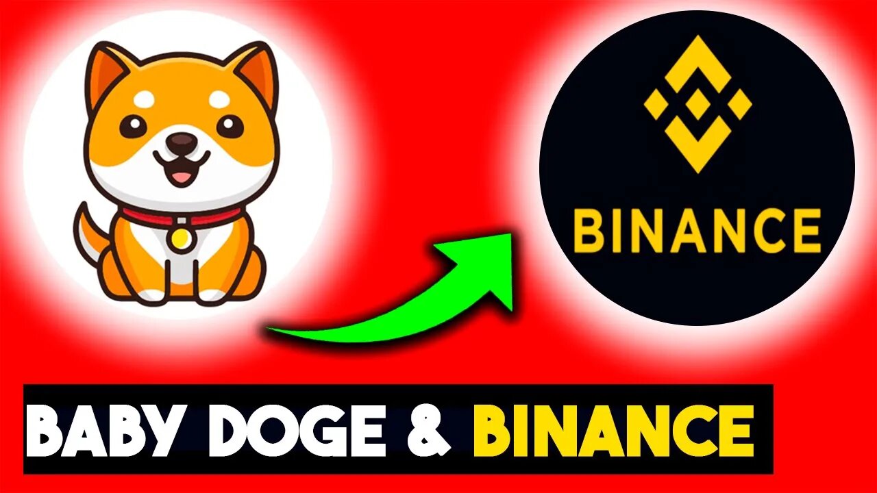 BABY DOGECOIN NA BINANCE ESSE MÊS? | Edney Pinheiro