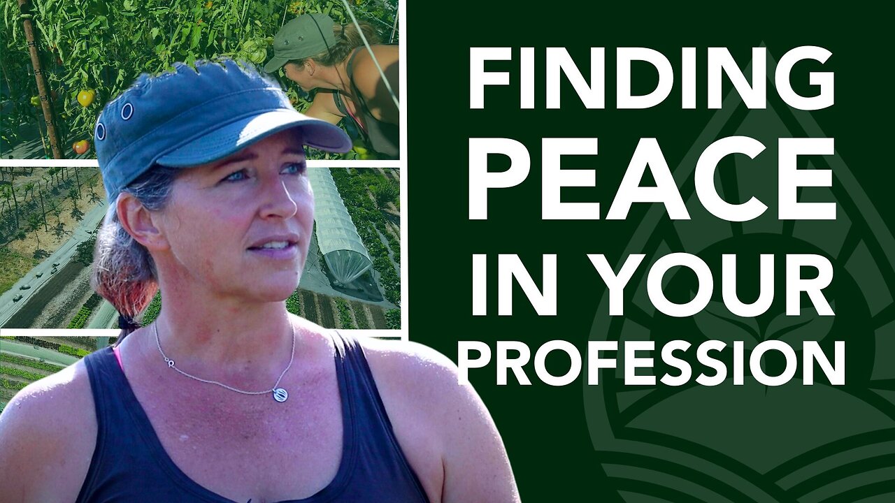 Finding Peace in Your Profession. How you can leave the job you hate, for a job you love