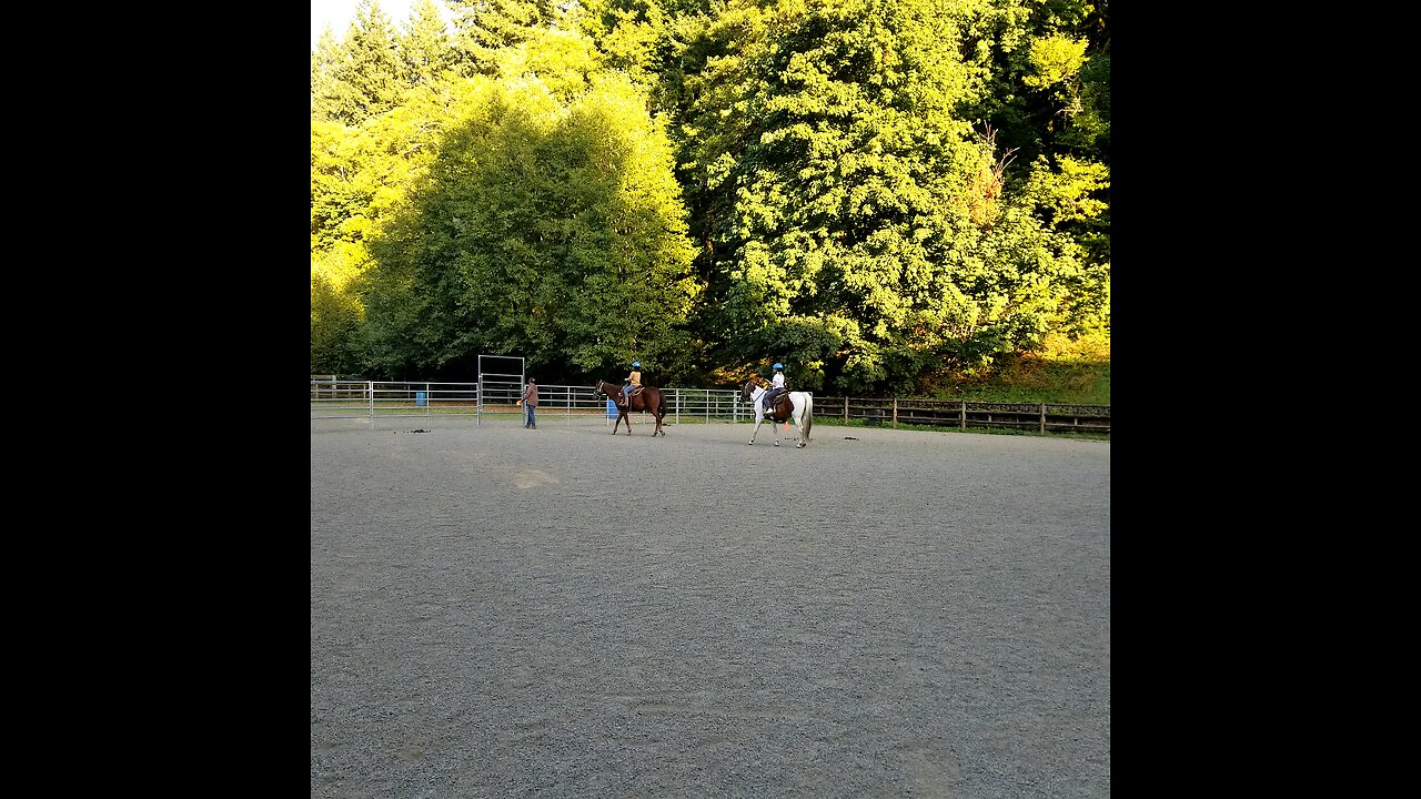 Horses and Learning