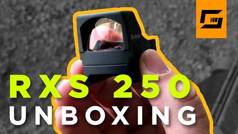 RXS-250 REFLEX SIGHT Unboxing & First Impressions