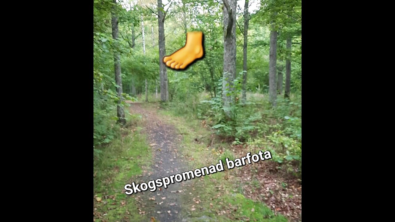 Skogspromenad barfota