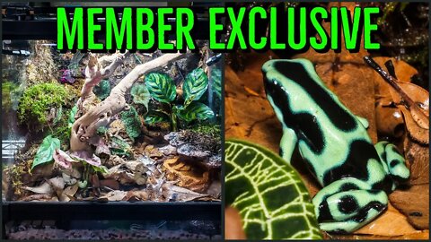 Members Only Behind The Scenes Sneak Peek