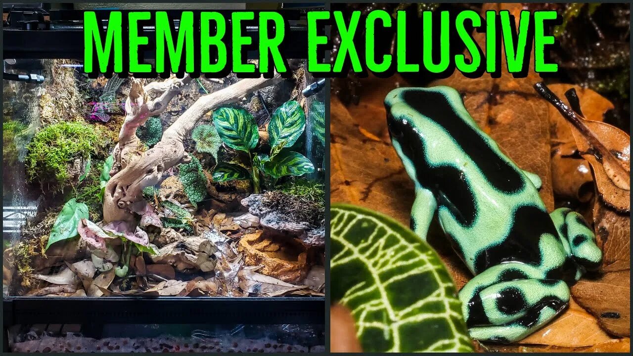 Members Only Behind The Scenes Sneak Peek