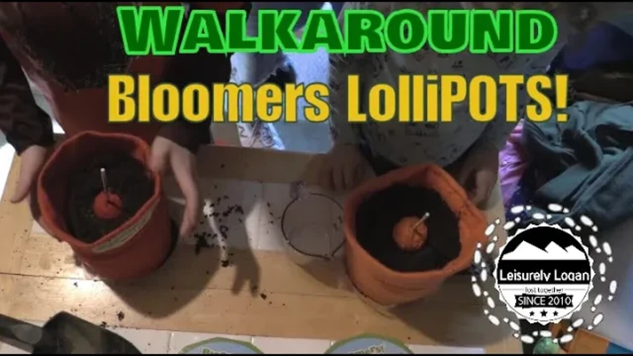 Walk Around : Bloomers LolliPOTS!