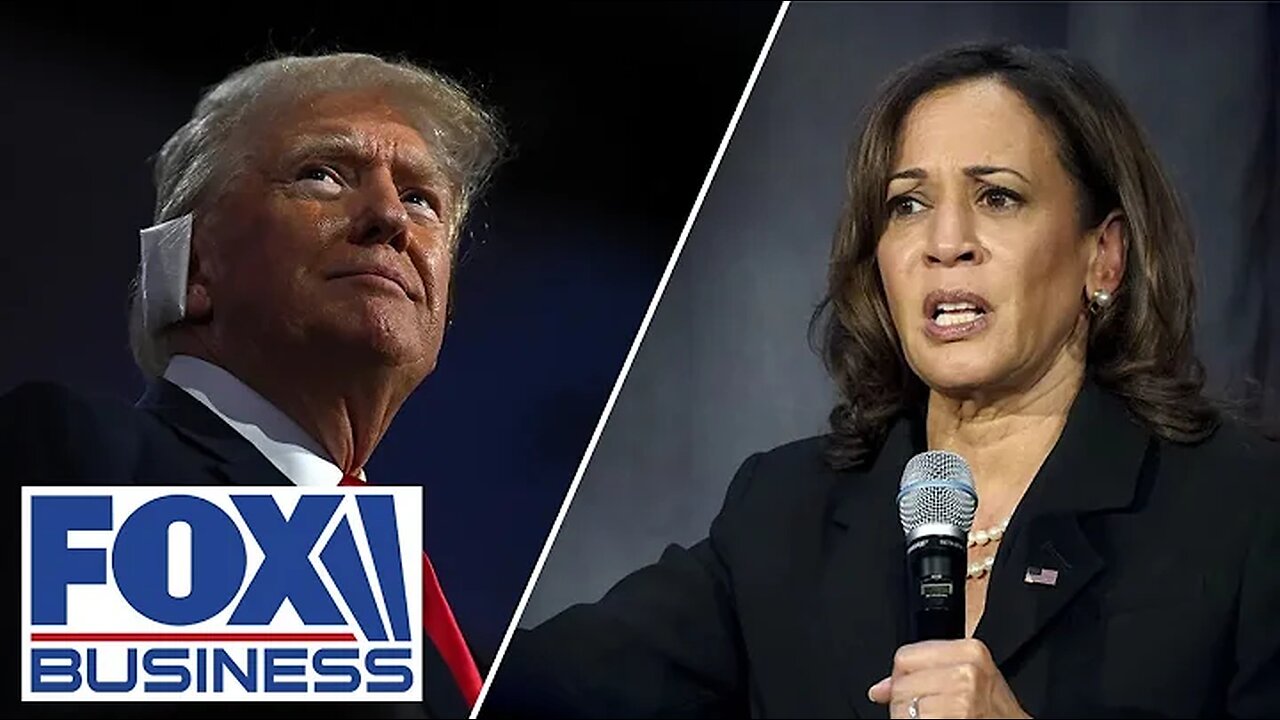 Gen Zer says Kamala Harris was 'disconnected' from larger voter issues