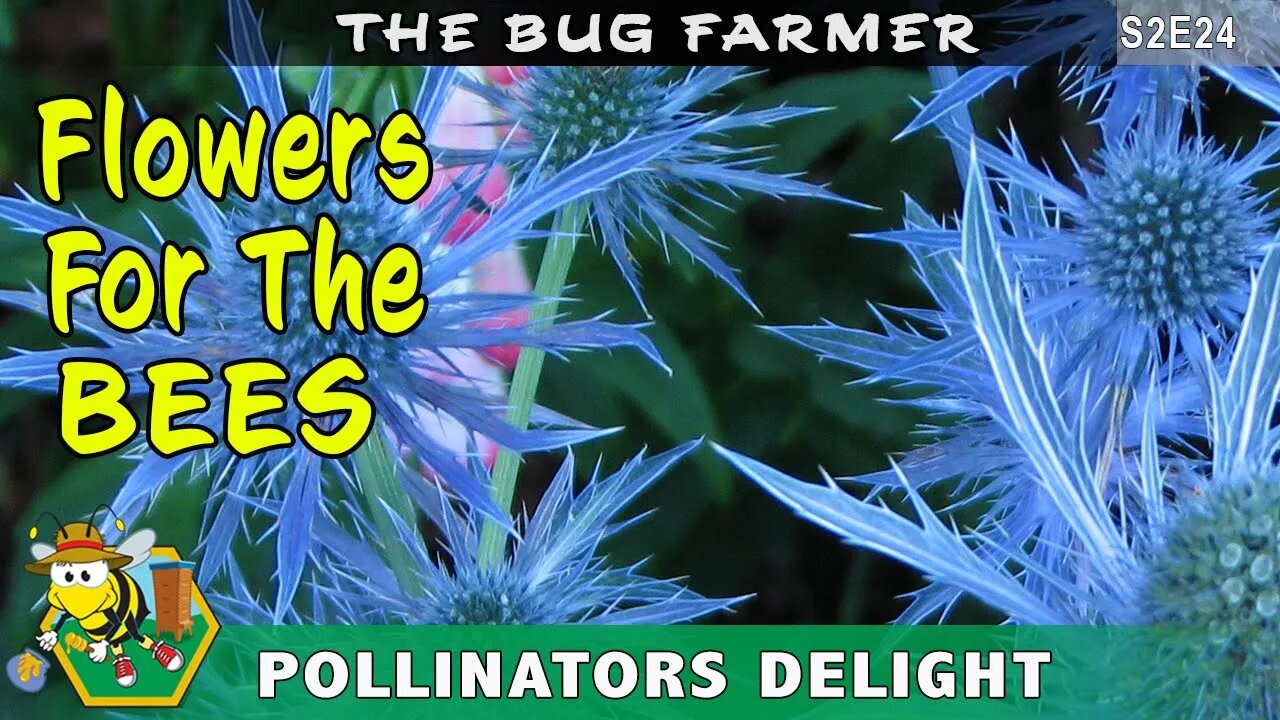 Pollinators Delight - Time to get the seeds in the ground, planting a variety for the bees.