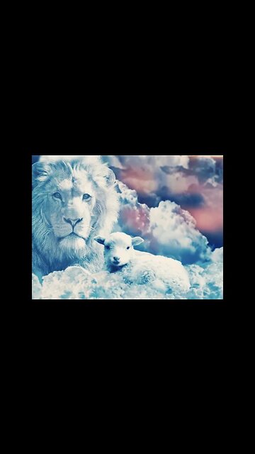 Warrior Of Light (Teaser)