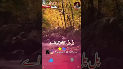 Punjabi Shayari Whatsapp Status 🥀 Sad Punjabi Poetry 💔 Shero Shairi ❤️ Sad Poetry Status - Jawad Ali