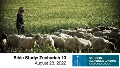 Bible Study: Zechariah 13 - August 28, 2022