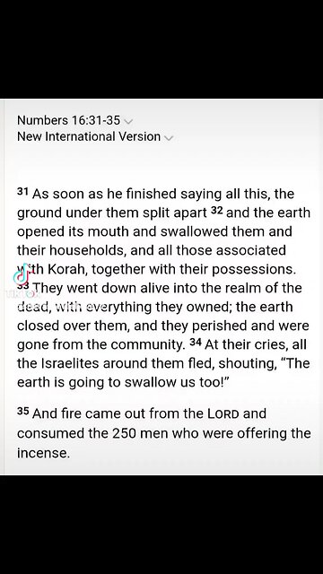 gOd is a volc🌋no and she is comin for the pope and his cukks