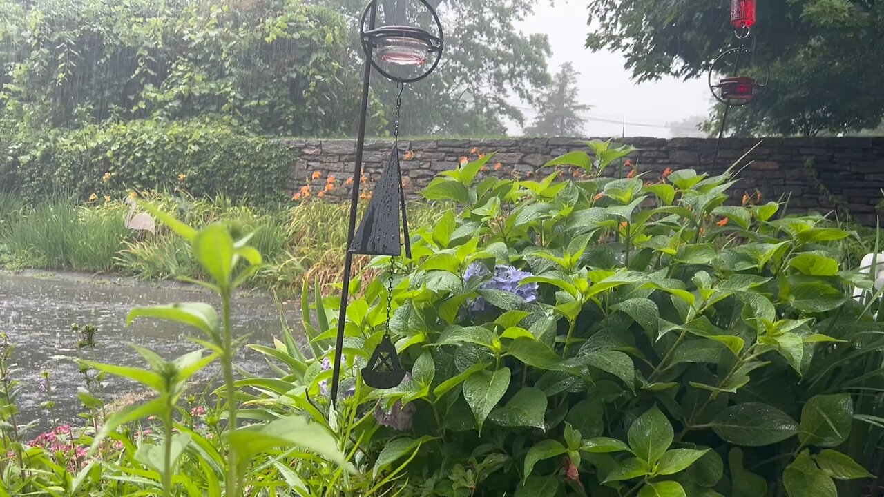 Nature's Serenade: A Captivating 30-Minute Rainfall Experience