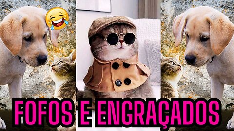 🐱🐶 Melhores amigos ou inimigos 🐾 Novos vídeos de animais mais engraçados de 2023 😂