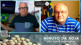 Milho explode no Brasil e exportações voltaram forte