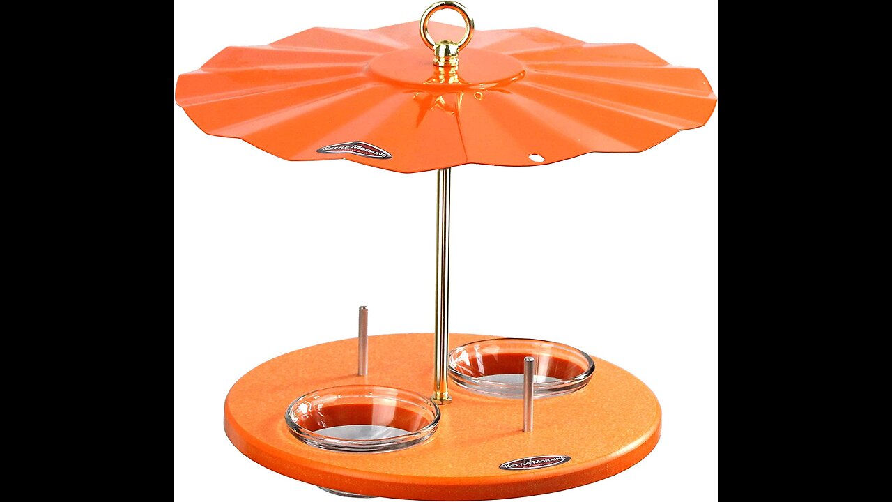 Kettle Moraine Super Oriole Recycled Orange Fruit, Jelly, Mealworm Bird Feeder wOrange Roof