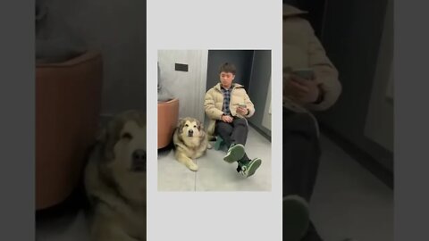 Siblings can relate 🐕😄😂