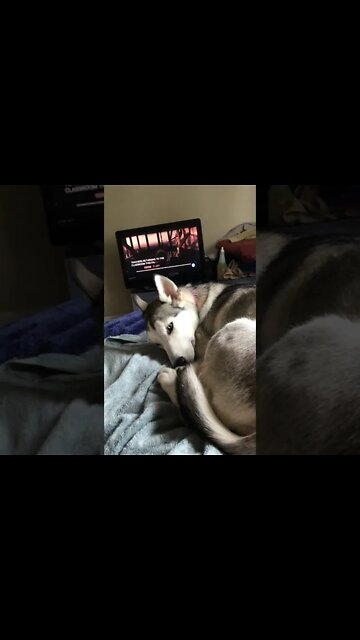 I did this to my baby girl.. 29-July-2021