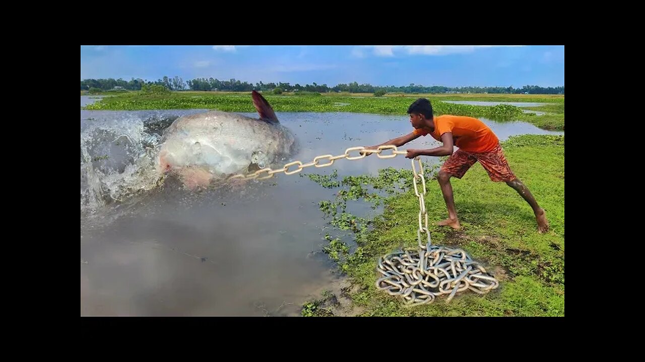 Village Fisherman Big Fish Catching Experience With A Chicken In Amazing Underground Big Fish Hole