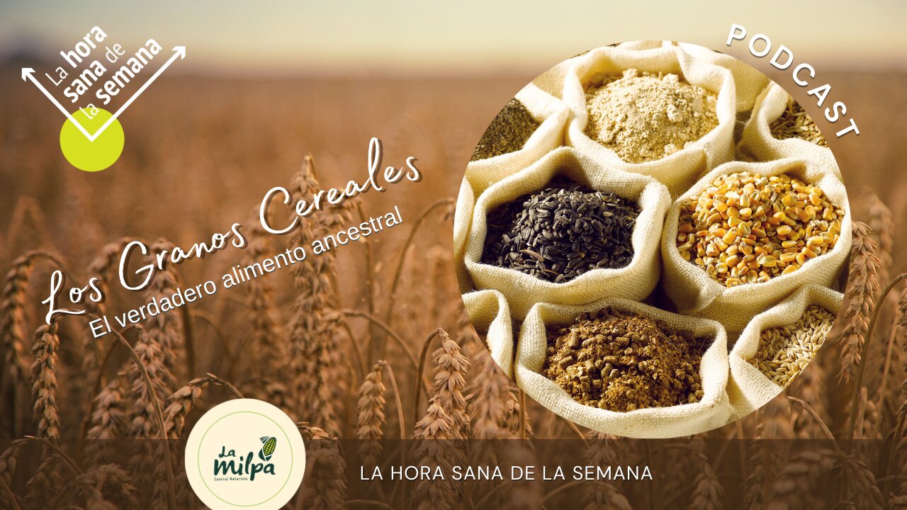 Los Granos Cereales - El Verdadero Alimento Ancestral