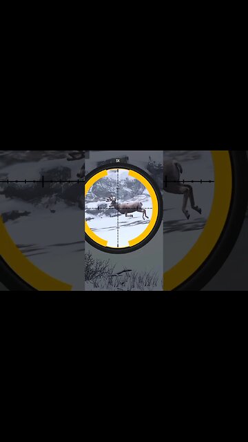 Hunting Coyotes #361 #elk #shorts #dog #animals #hunter #hunting #ytshorts #dog #coyotes #wildlife