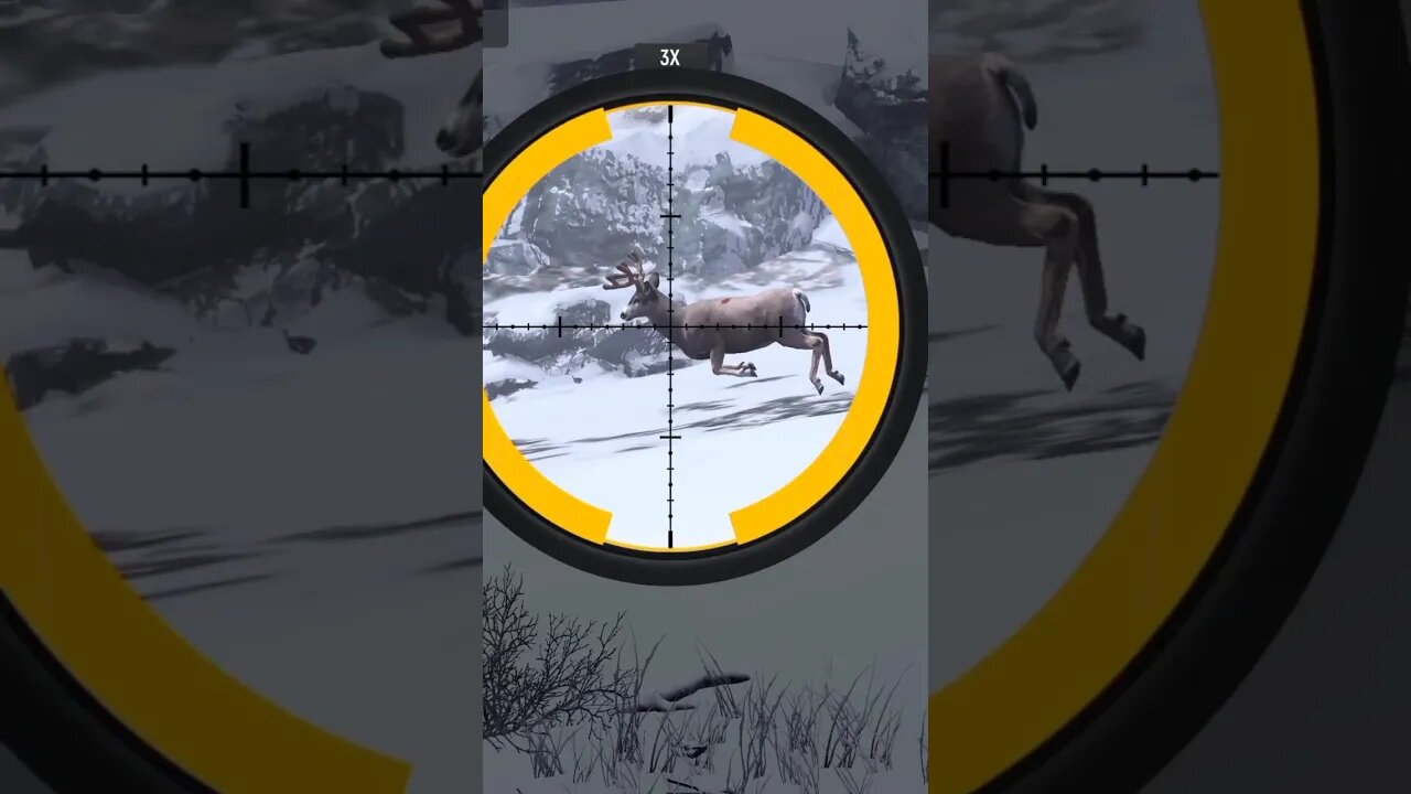 Hunting Coyotes #361 #elk #shorts #dog #animals #hunter #hunting #ytshorts #dog #coyotes #wildlife