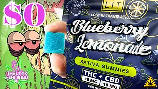 Trying FREE Blueberry Lemonade THC + CBD Gummies from Lit Farms! The Dank Flamingo Cannabis Review!