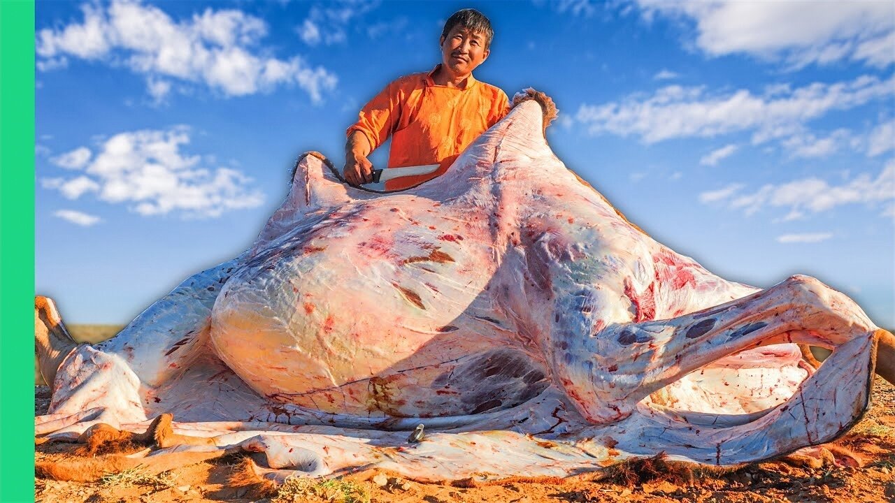 Eating Rare Double Humped Mongolian Camel!! Gobi Desert Nomad Life!!