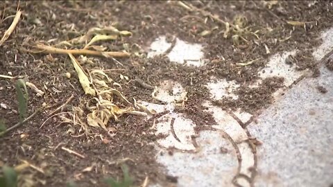 Denver family outraged after father's gravestone buried under inches of dirt