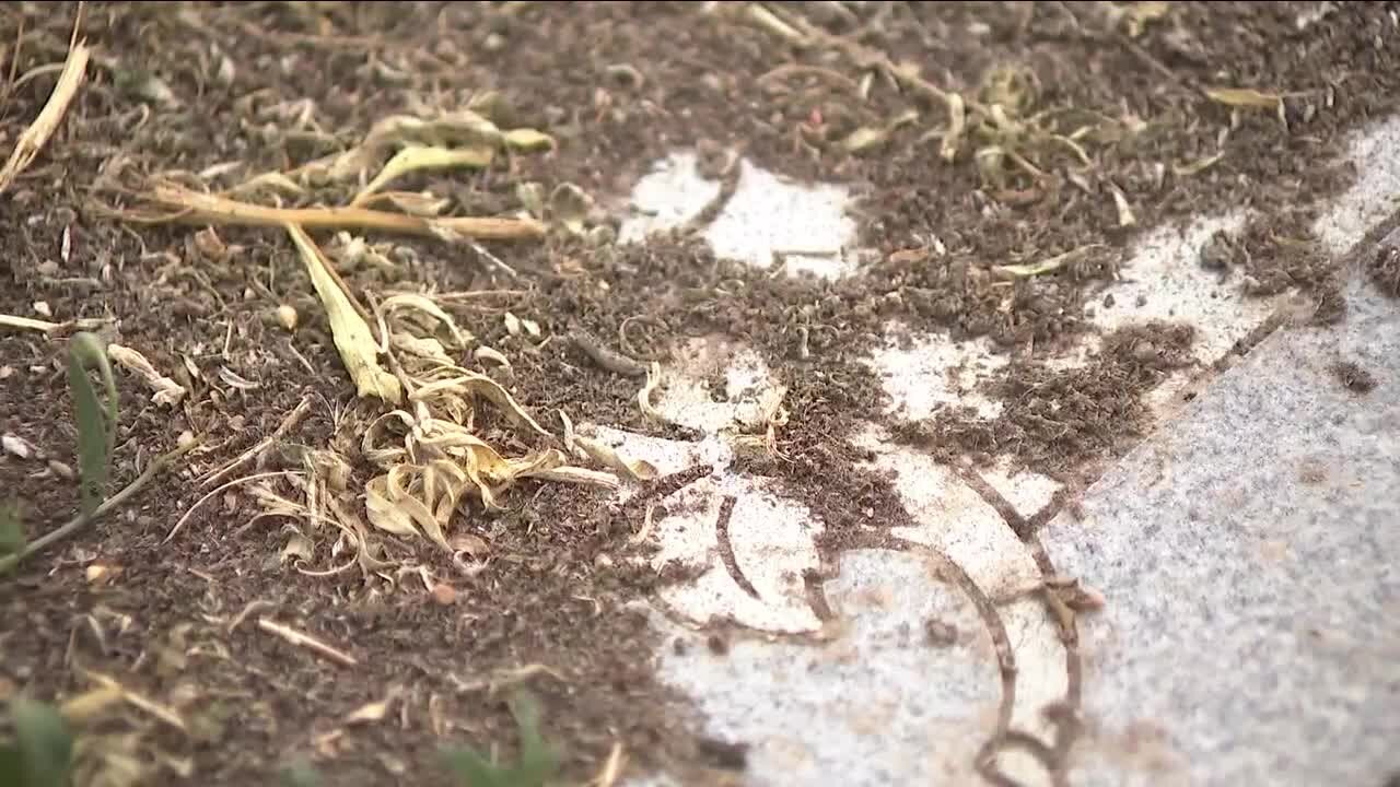Denver family outraged after father's gravestone buried under inches of dirt