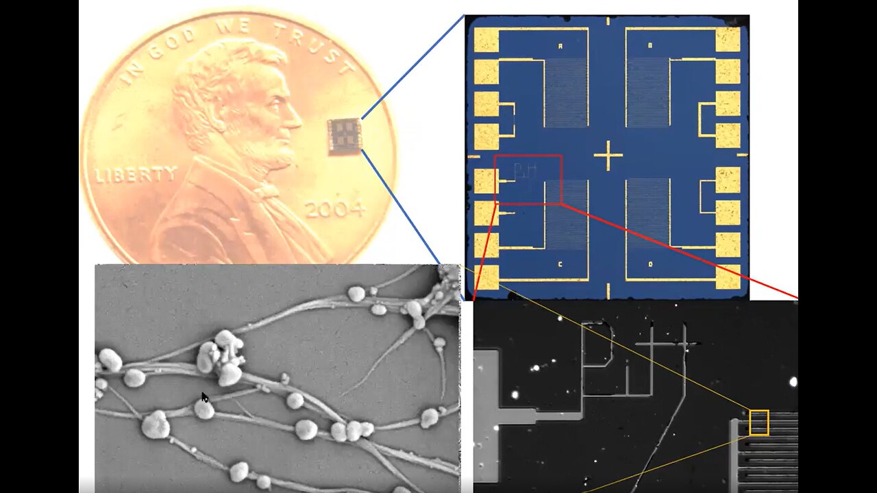 Graphene Carbon Nanotube-Based Chemical Bio-Sensors and Drug Delivery Systems