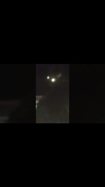 Black Cat Magic #shorts