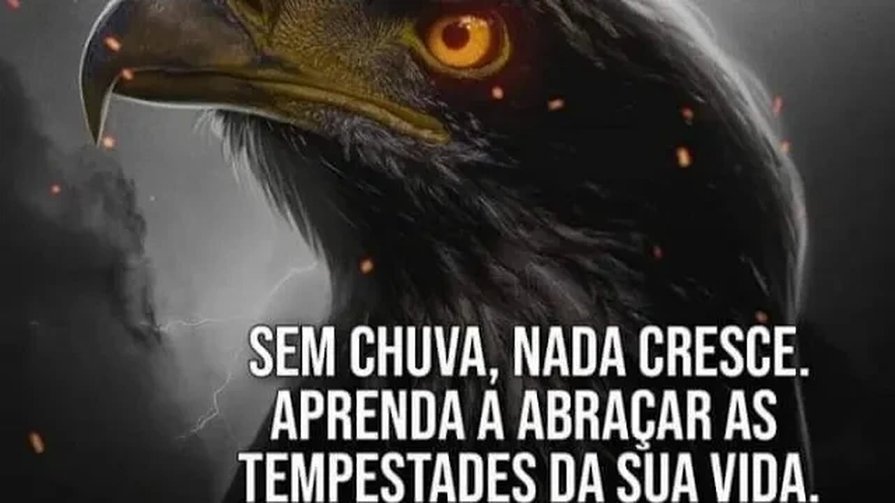 BOM DIA DE CHUVA, muita chuva
