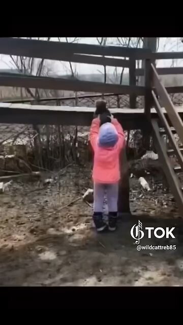 Babies and Kittens & Pups 🥰✨