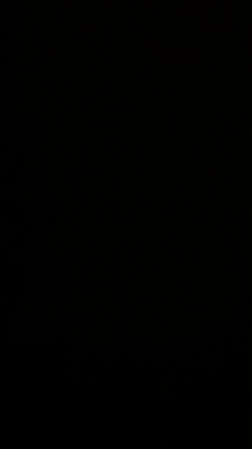 Silver coins from a coin shop