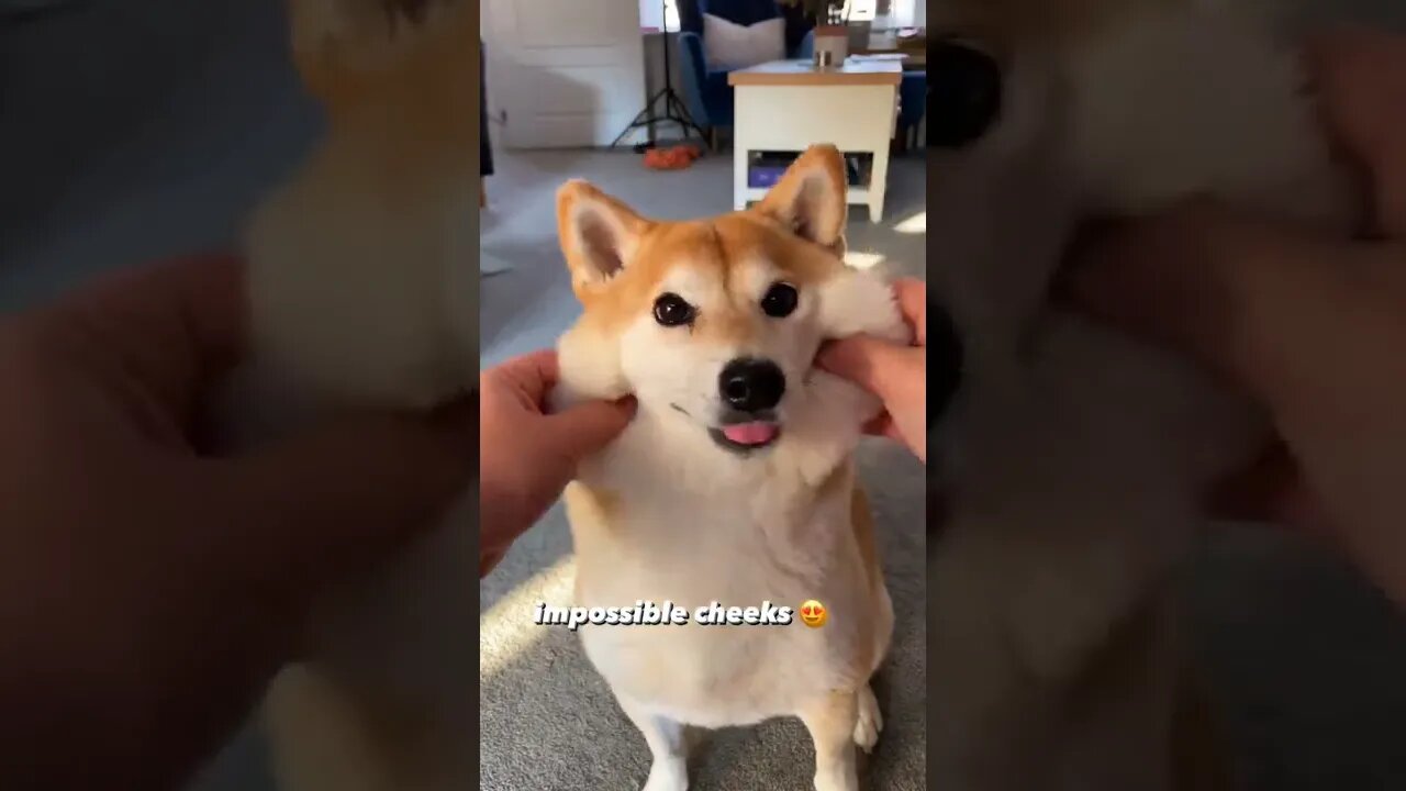Aaaawwwwww soo cutee
