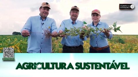 Cultivares de soja da FT Sementes oferecem mais produtividade aos agricultores do Norte do País