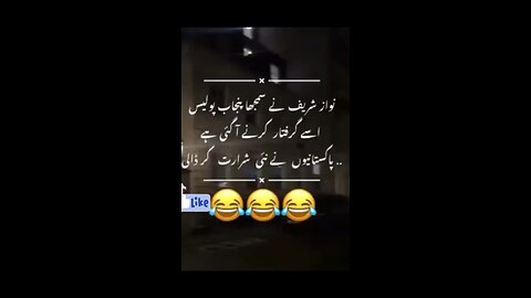 #funnyvideo