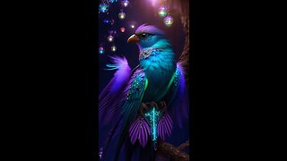 The beauty of birds!