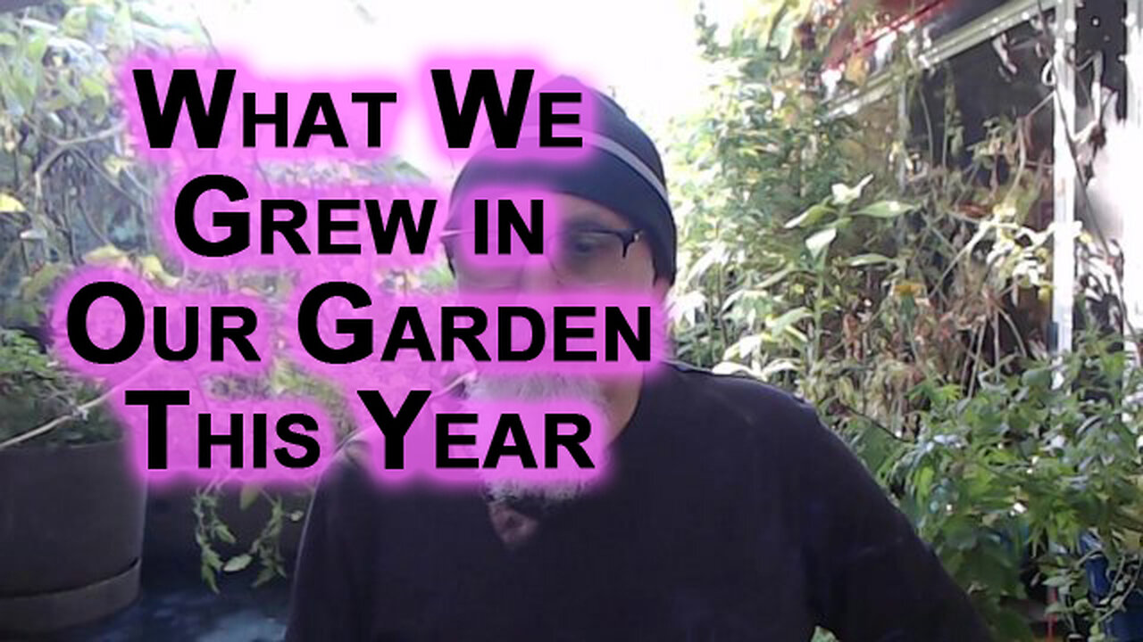 Recap of What We Grew in Our Garden This Year, With Mixed Results