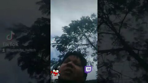 a saga continua parte 3 , #caminhada #cardio #humor #live #meta #gordo