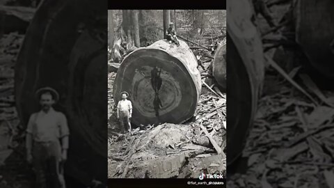 ۲۴ اوت ۲۰۲۲