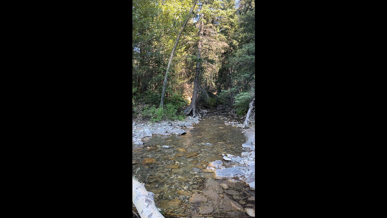 Star creek falls