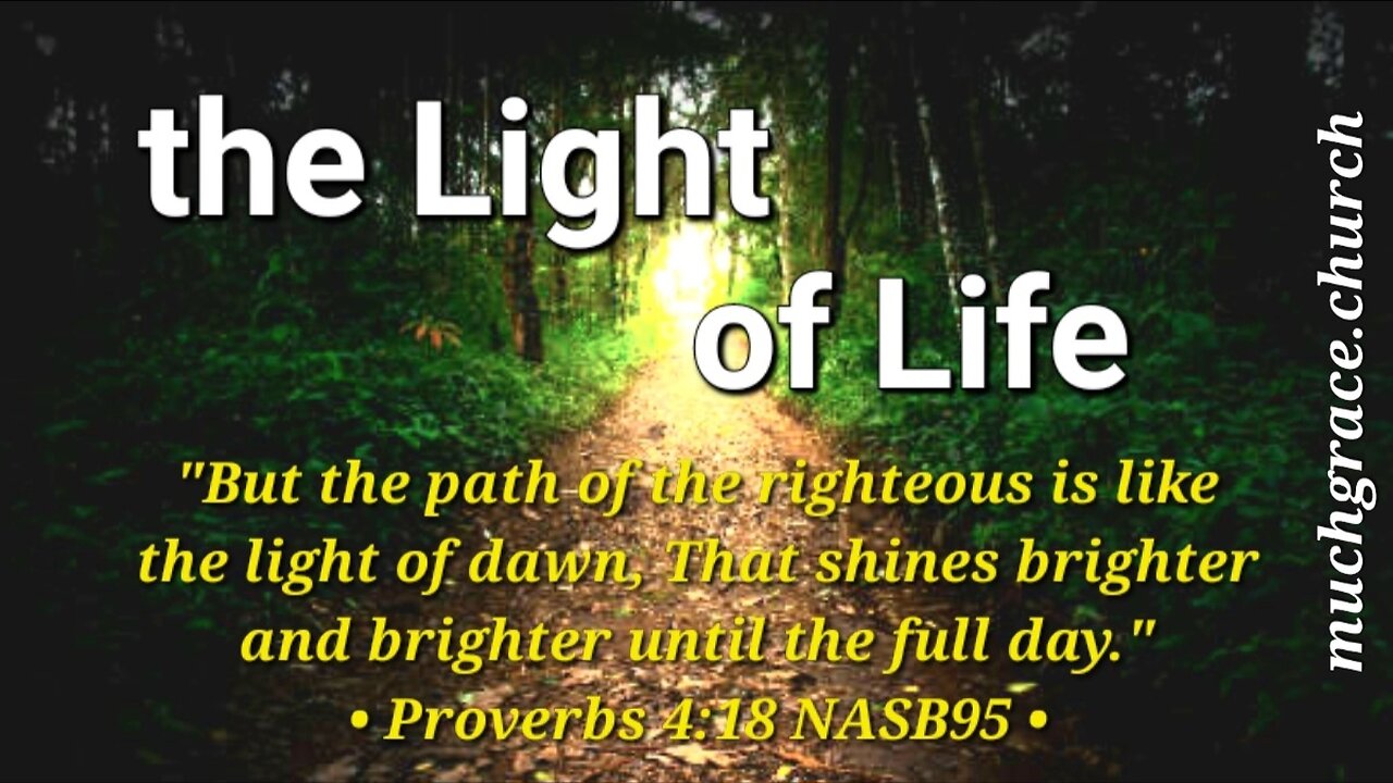 The Light of Life : God is LIGHT