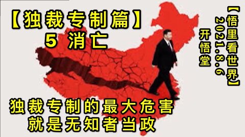 KWT2207(5)独裁专制篇(消亡):独裁专制的最大危害，就是无知者当政20210806-5【悟里看世界】