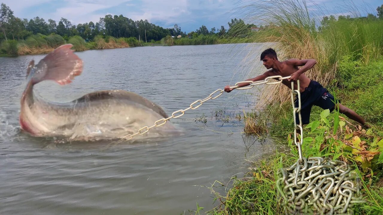 Really Amazing Fishing Technique Village River Monster Catching Traditional With A Chicken & Hook🥴