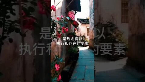 开悟堂世界公民频道kaiwutang world citizen channel 2020.5.10