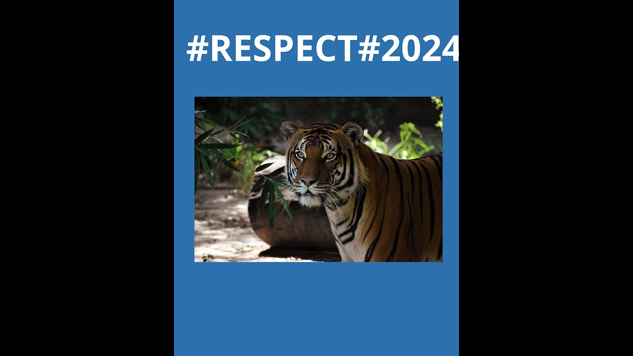 RESPECT#2024