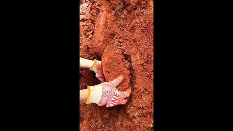 Discovery video of soil