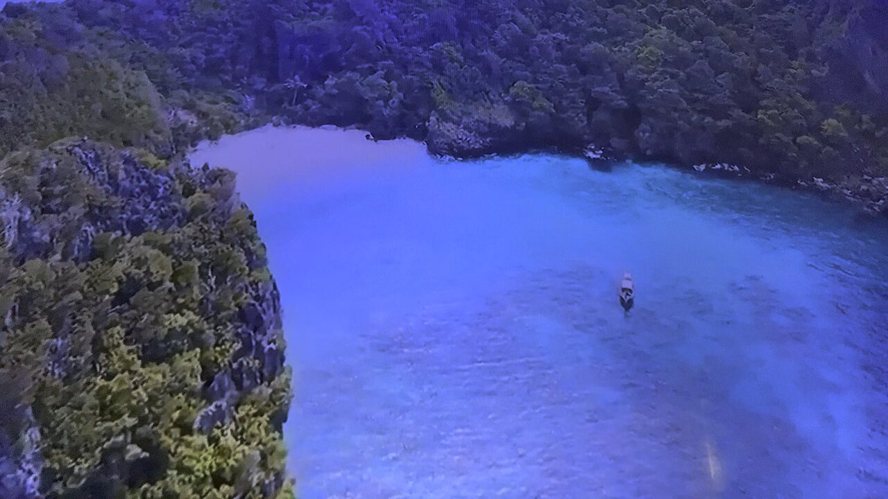 🔴 WORLDWIDE WARNING 🔴 The Place Effect Of A Zombie Virus Is In Fact Stress & Fear