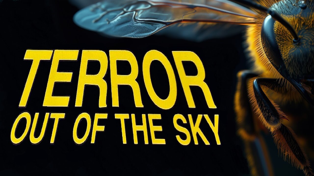 Terror Out of The Sky (1978) Dan Haggerty, Efrem Zimbalist Jr, Tovah Feldshuh